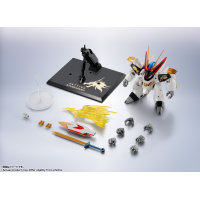 Metal R魂 龍王丸