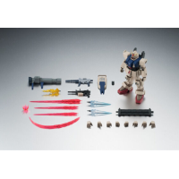 R魂 陸戰型高達 (沙漠型)  ver. A.N.I.M.E. 日版