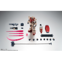 R魂 陸戰型吉姆 ver. A.N.I.M.E.