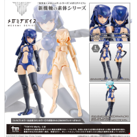 B1R-L CHASSIS KIT SKIN COLOR D