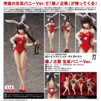 篠之之箒 裸足兔女郎Ver.