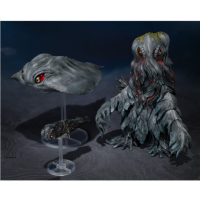 SHM 黑多拉 (50周年特別紀念套裝) 港版