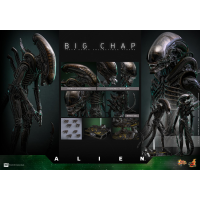 HT 異形 Big Chap